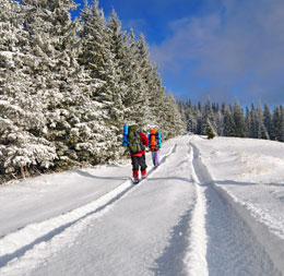 Voyage sous la neige